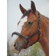 Leather quality headcollar